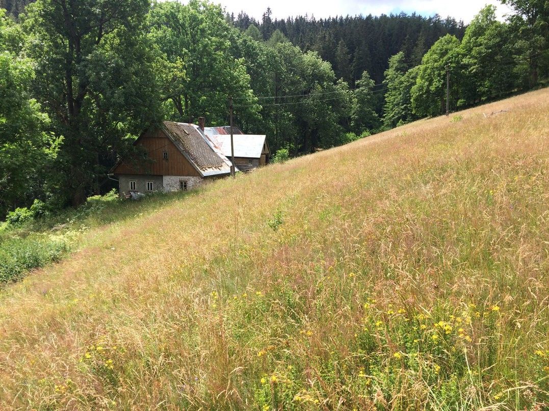 Chalupa · 80 m² · Horní Maršov - 4