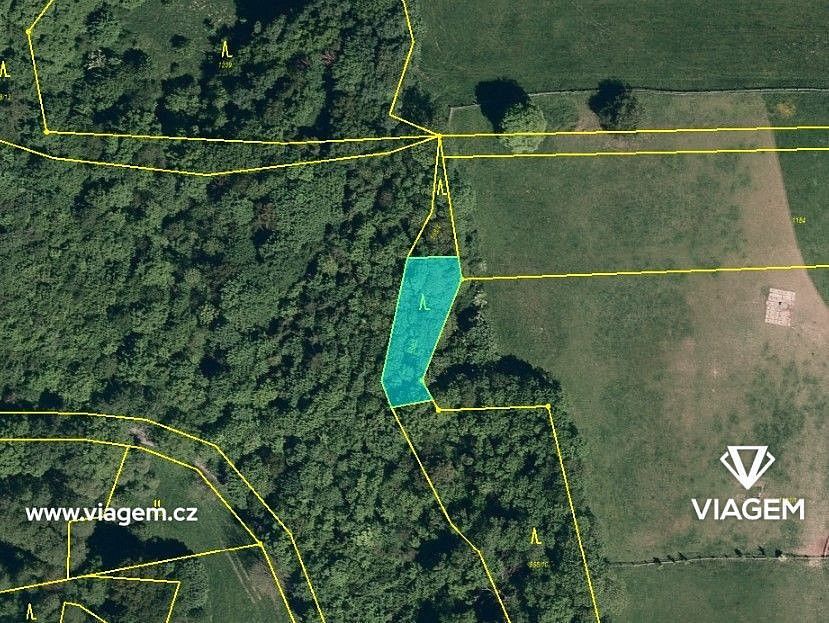 Les · Suchdol nad Odrou, okres Nový Jičín, Moravskoslezský kraj - 4