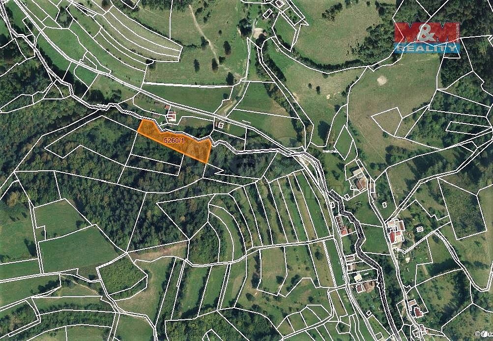 Les · Huslenky, okres Vsetín, Zlínský kraj - 4