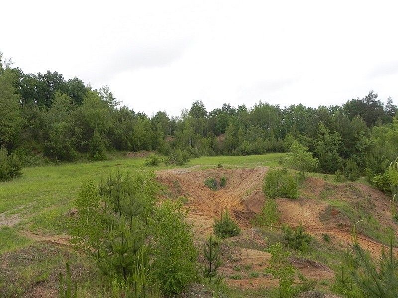 Pozemek · Bohušov, okres Bruntál, Moravskoslezský kraj - 3