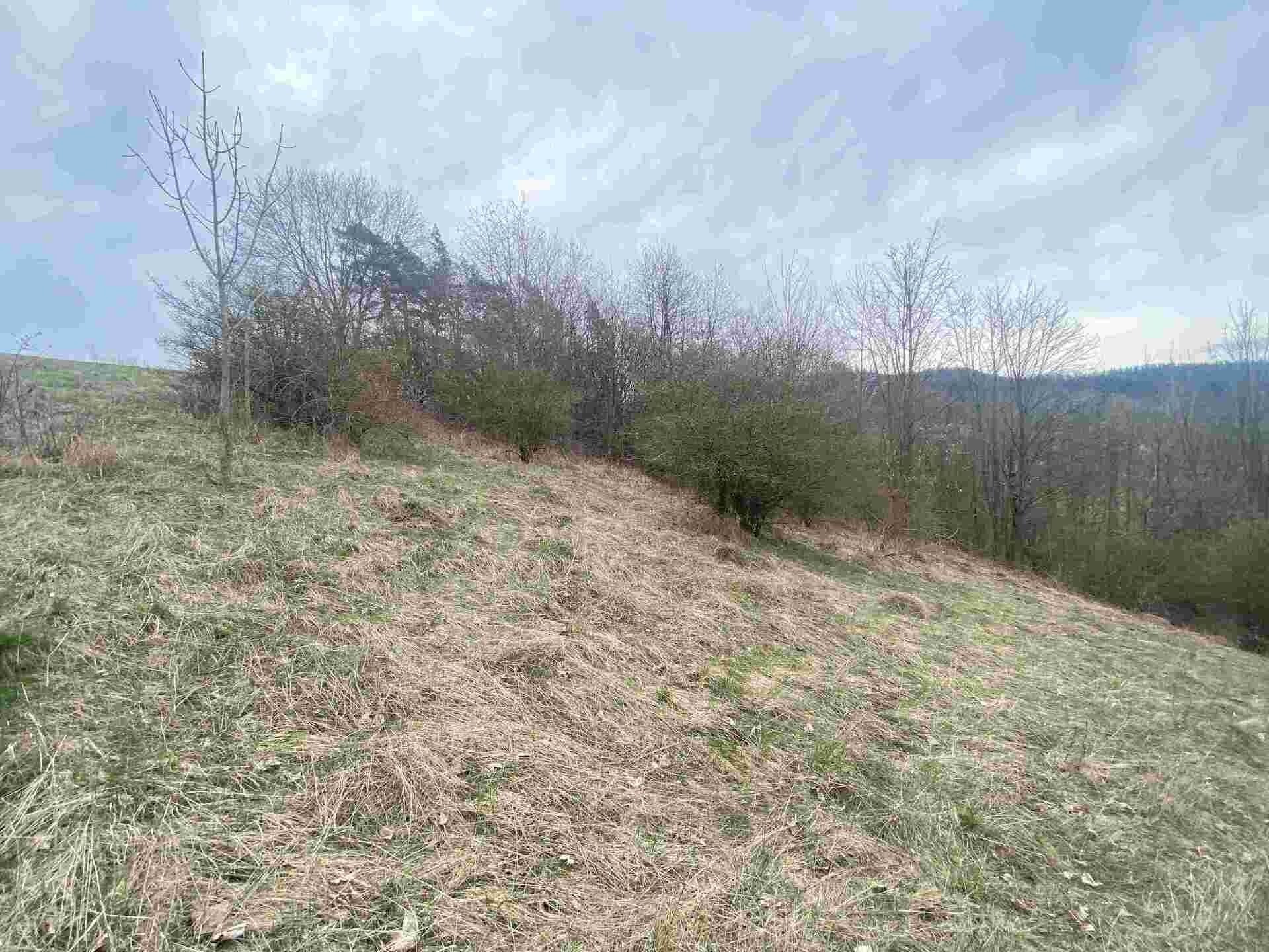 Ostatní, Vesec, Mírová pod Kozákovem, 1 m²