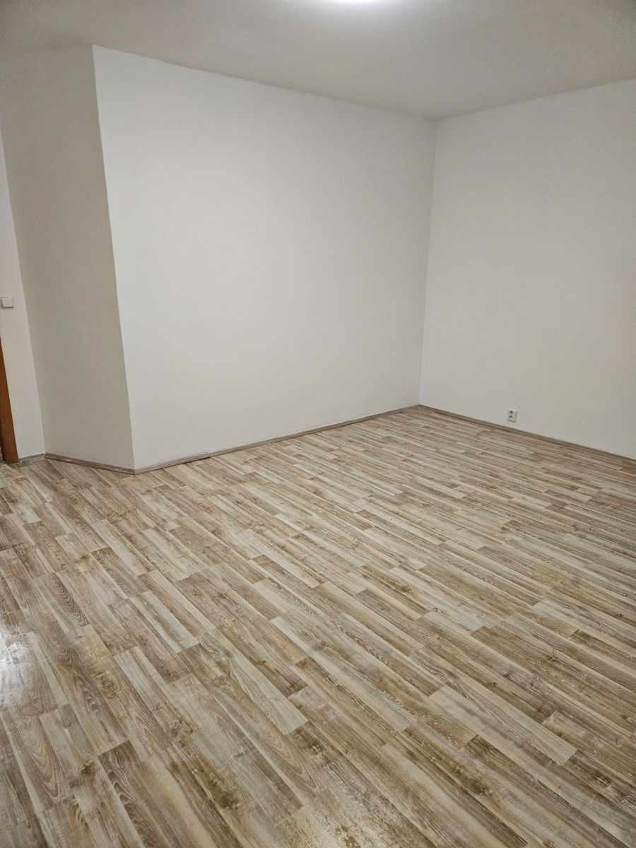 Pronájem byt 2+1 - Vojanova, Ústí nad Labem - Krásné Březno, Ústecký kraj, 48 m² - 5