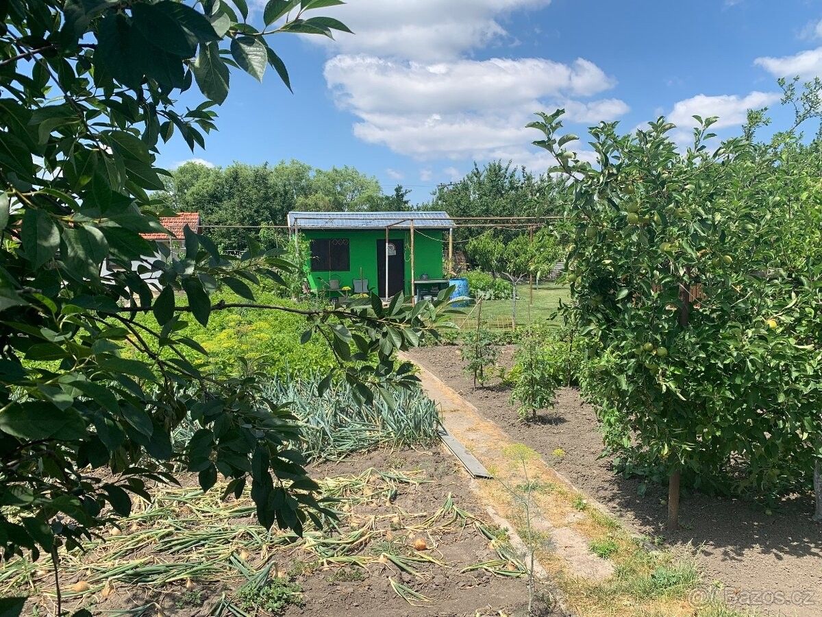 Zahrady, Podivín, 691 45