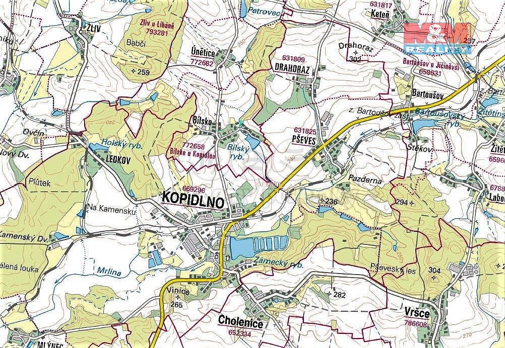 Les · Údrnice, okres Jičín, Královéhradecký kraj - 4