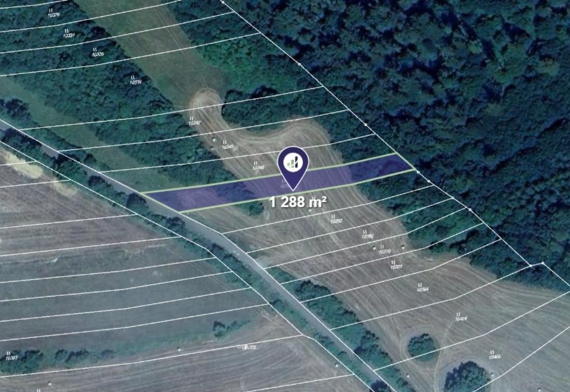Prodej zemědělský pozemek - Javorník, 8 539 m²
