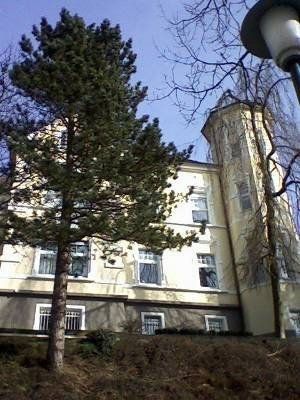 2+1, Sedanstr. 14, , Severní Porýní-Vestfálsko, 88 m² - 1