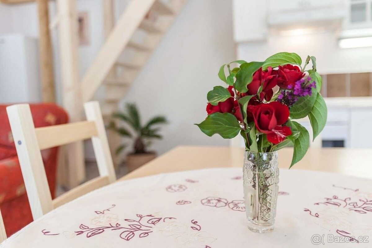 Pronájem rodinný dům - Hustopeče u Brna, 693 01