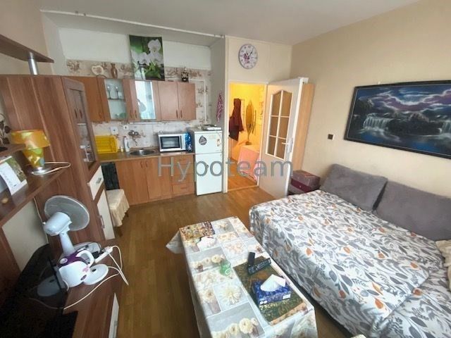 Pronájem byt 1+kk - Větrná, Ústí nad Labem, 19 m²