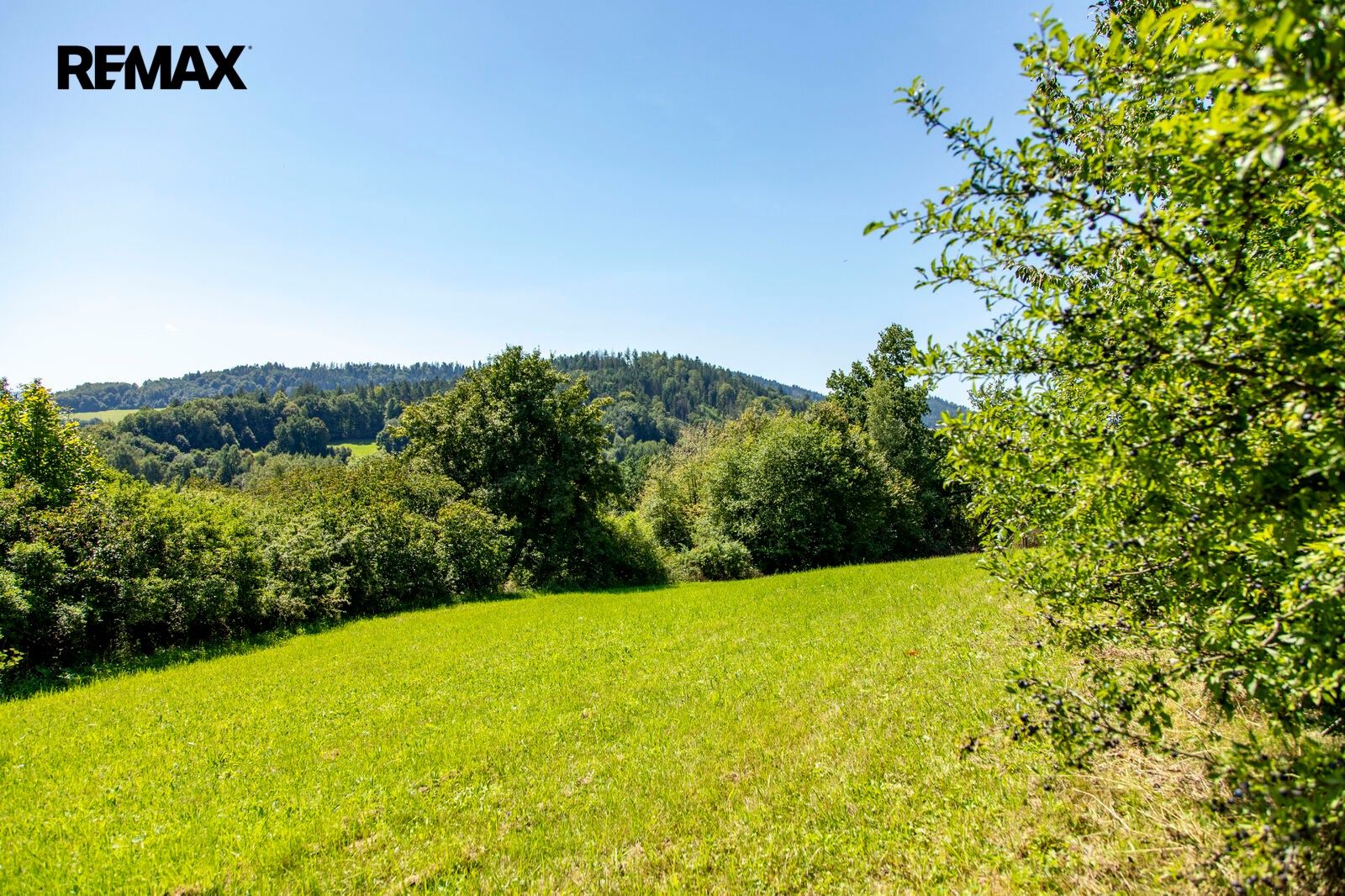 Pozemek pro bydlení · 4 479 m² · Mikulůvka - 3
