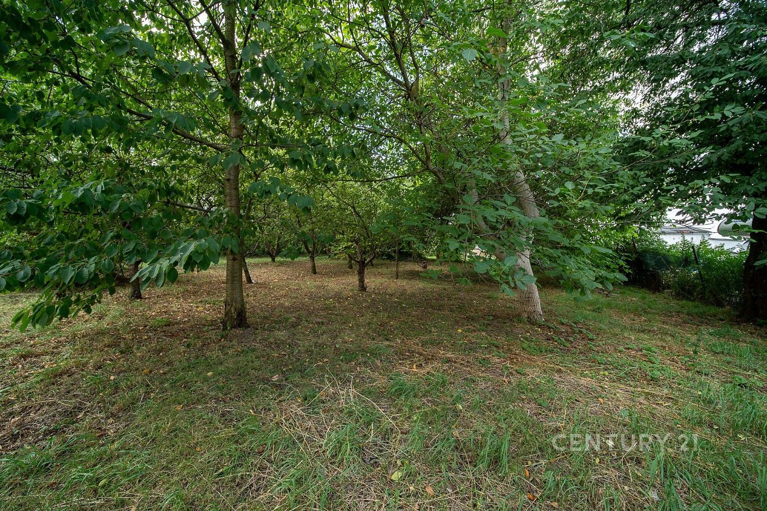 Prodej rodinný dům - Radonice, okres Praha-východ, Středočeský kraj, 145 m² - 5