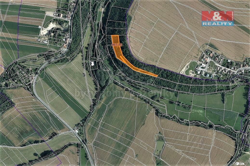 Lesy, Skuteč, okres Chrudim, Pardubický kraj - 1
