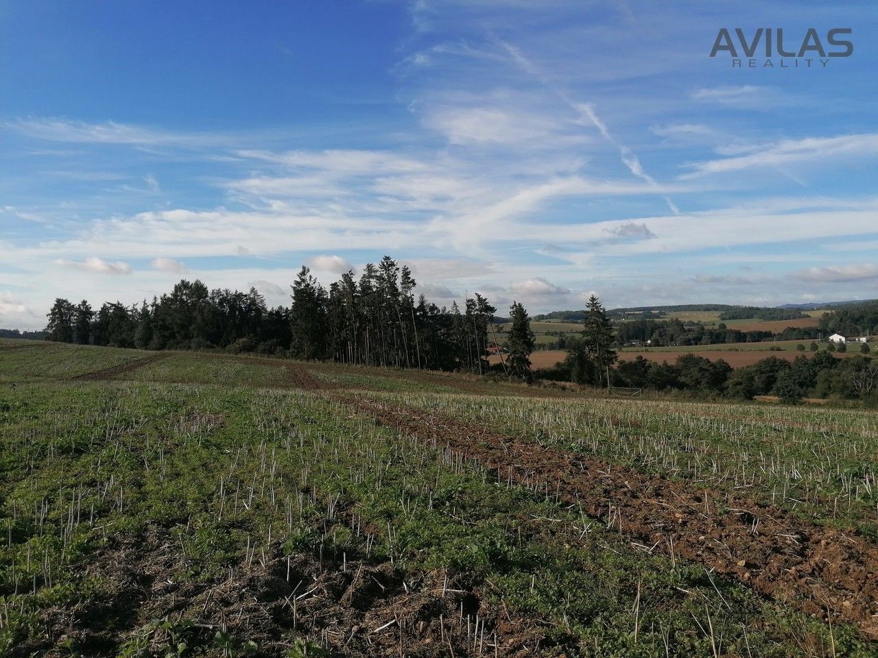 Prodej les - Libouň, Zvěstov, 2 824 m²