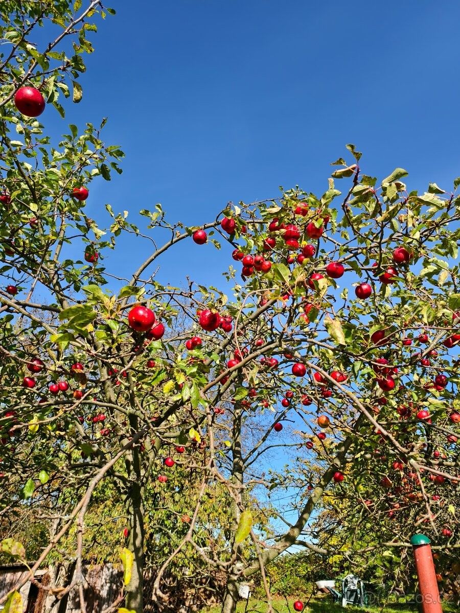 Pronájem zahrada - Plzeň, 312 00