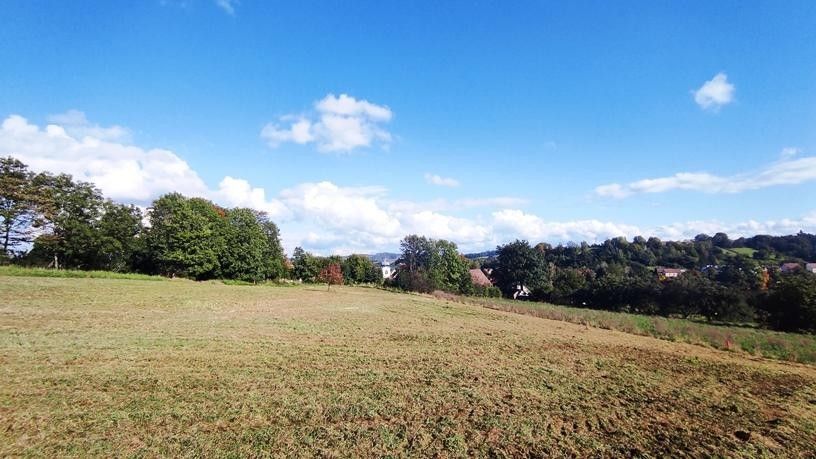 Prodej pozemek pro bydlení - Postupice, 2 099 m²
