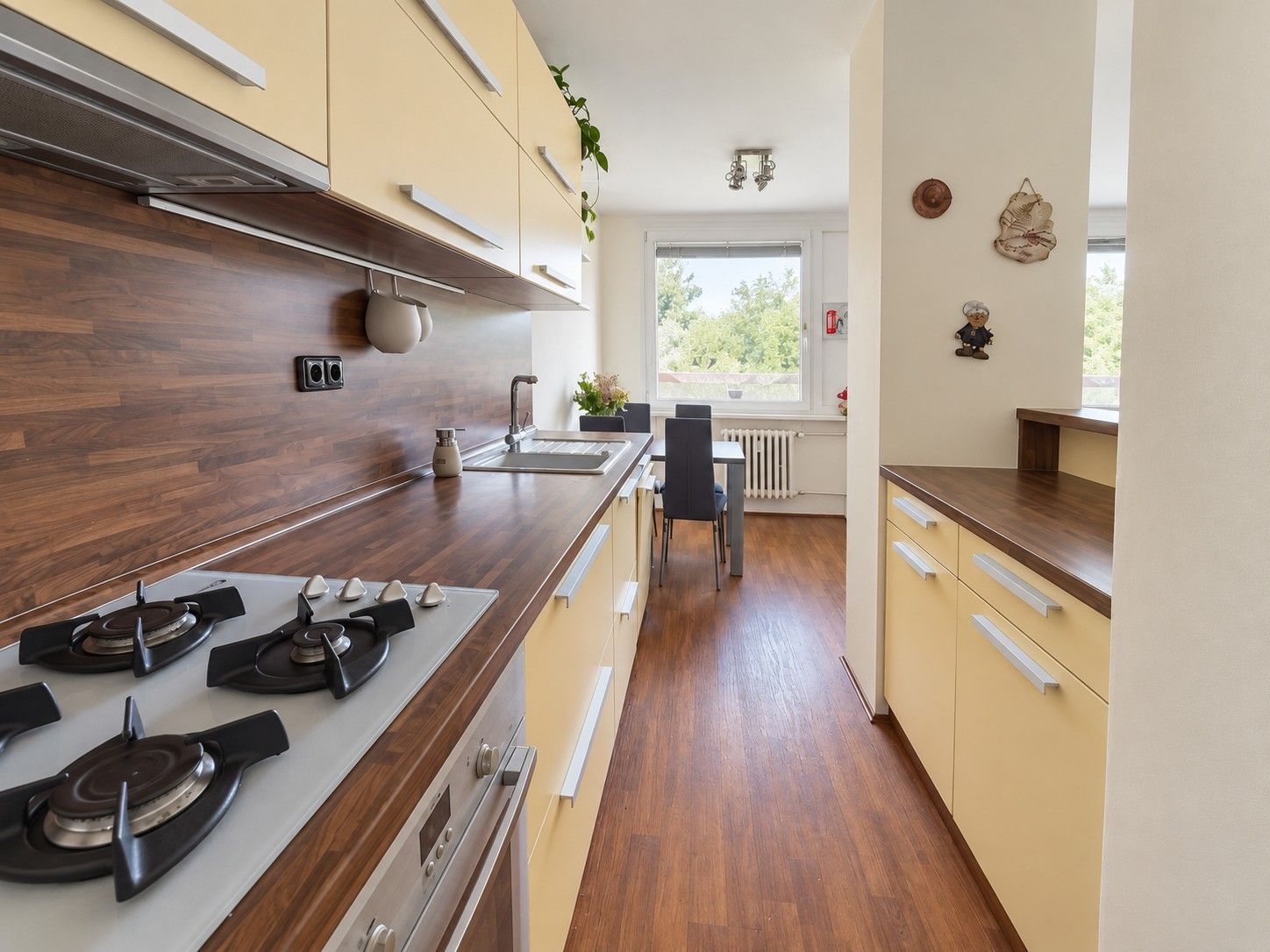 3+1, Vratislavská, Praha - Bohnice, 70 m² - 1