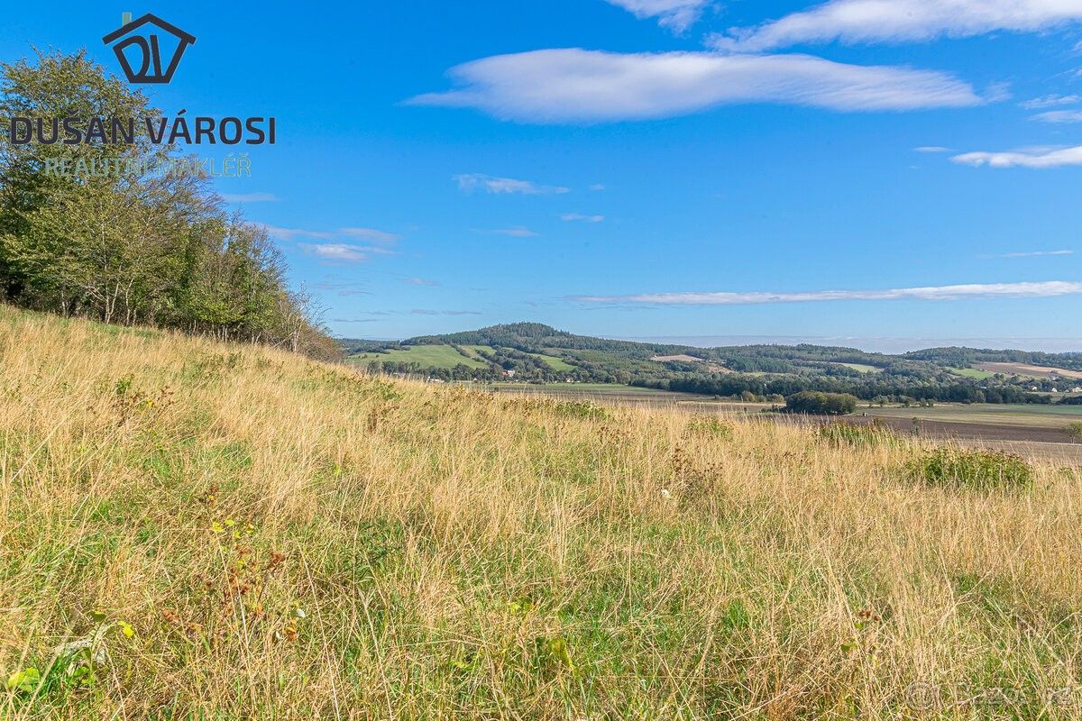 Prodej pozemek pro bydlení - Město Albrechtice, 793 95