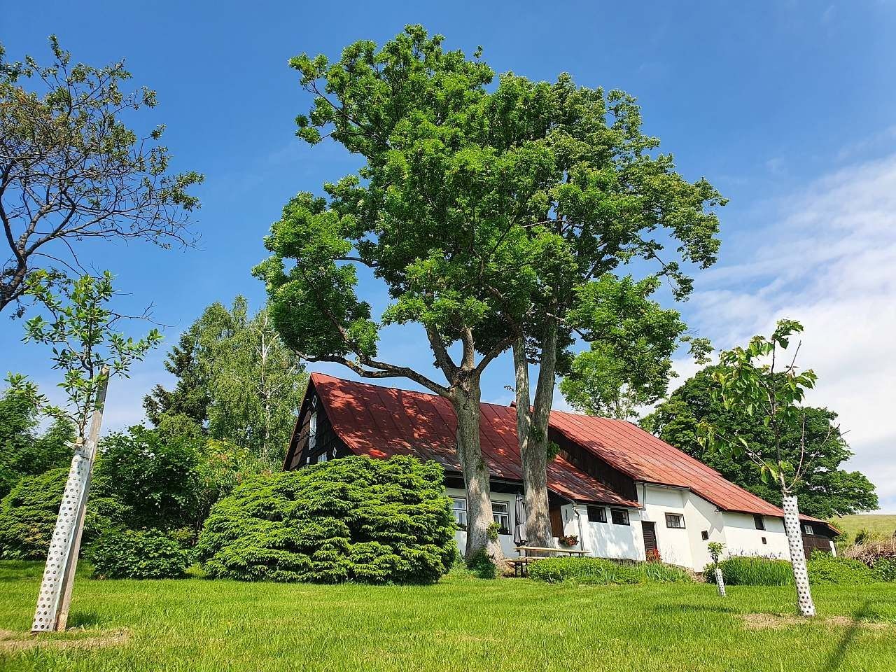 Chaty, Říčky v Orlických horách, Královéhradecký kraj - 1