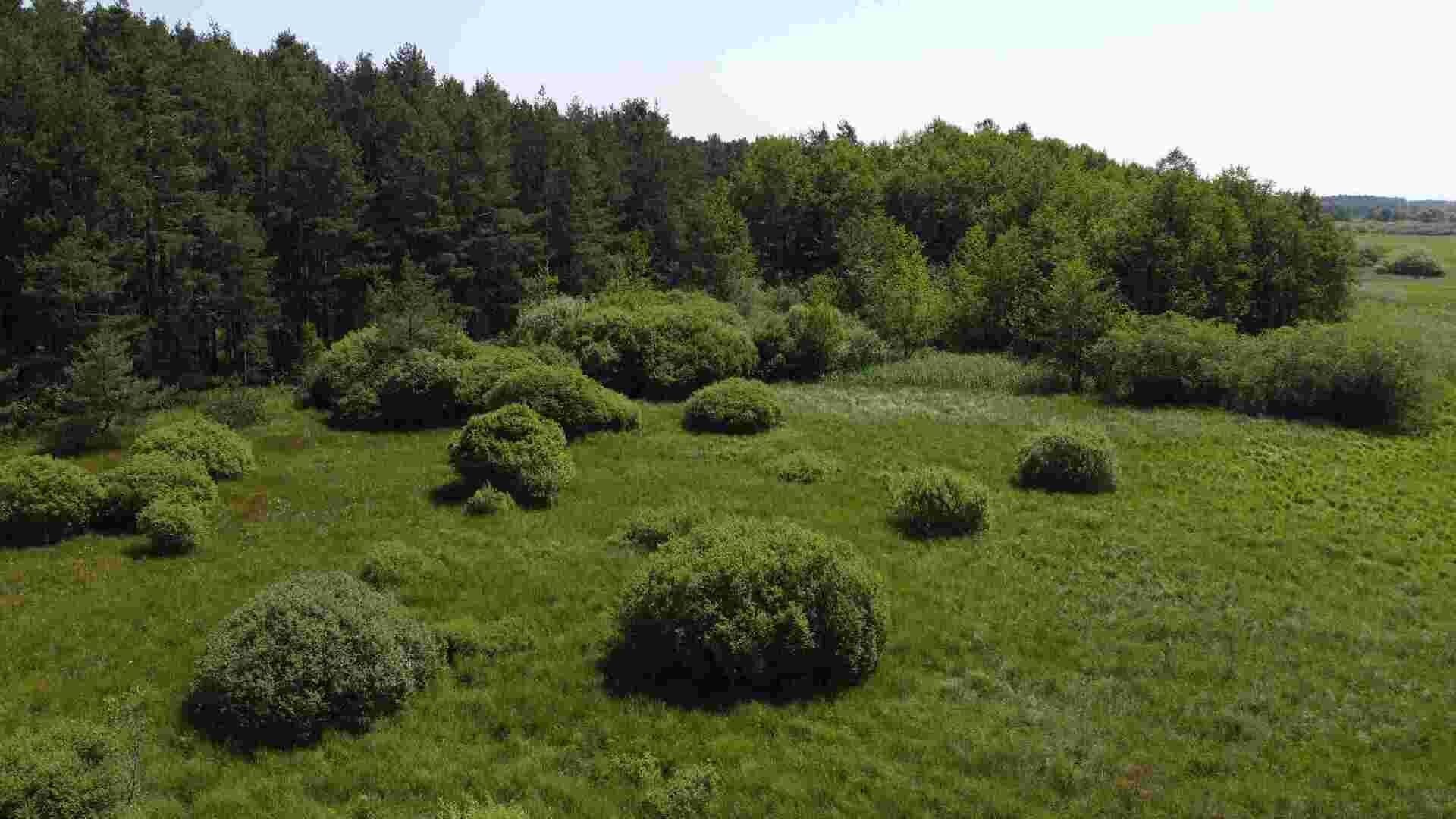 Pozemek · 20 535 m² · Jílovice - 3