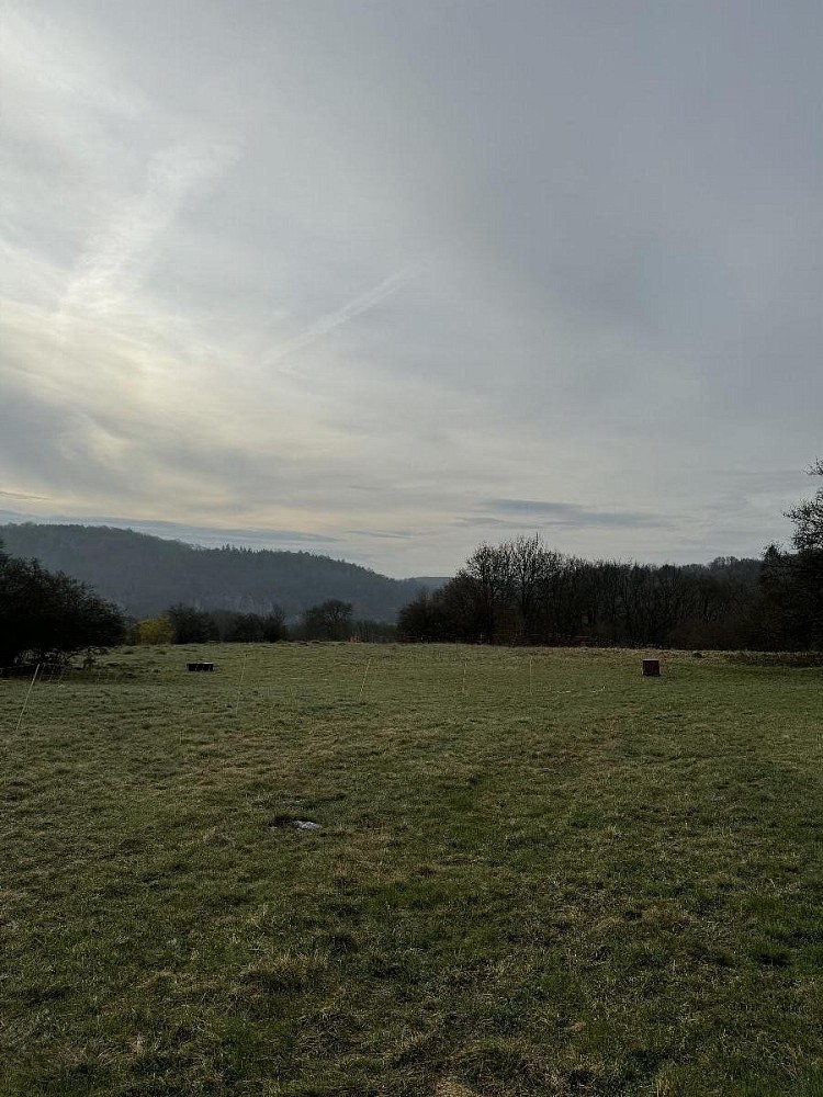 Louka · Sloup - Dýšina - 3
