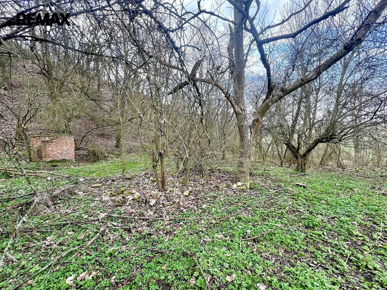 Prodej zahrada - Žatec, okres Louny, Ústecký kraj - 5