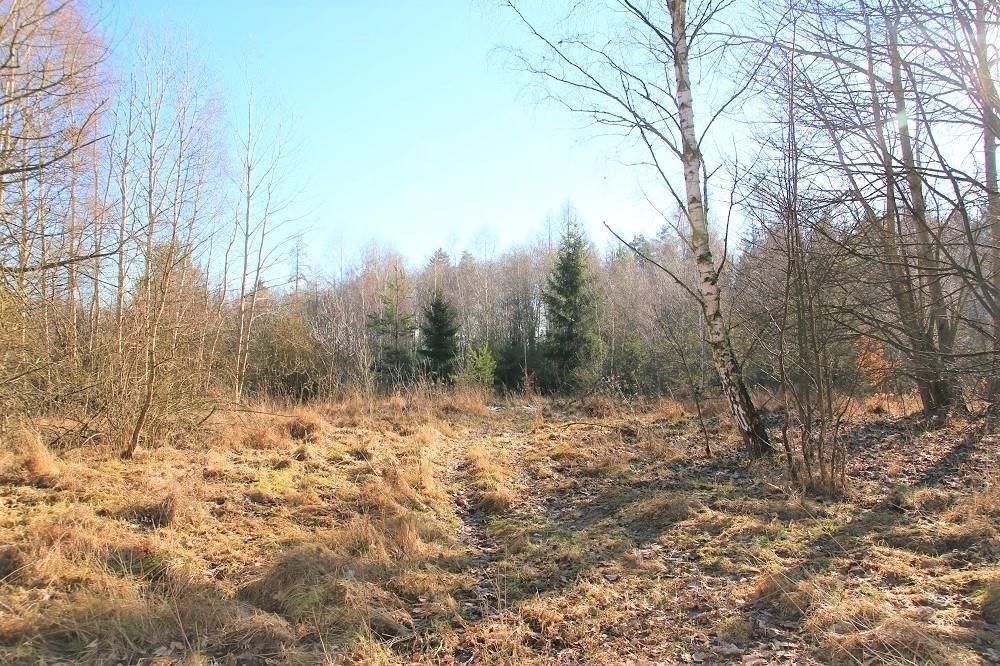 Prodej pozemek - Domažlice Dolejší Předměstí - 5