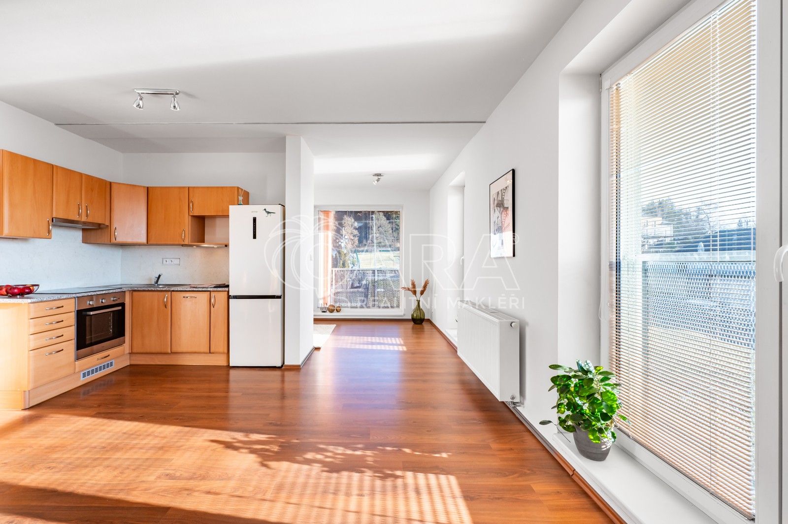 1+kk, Kařez, 45 m²