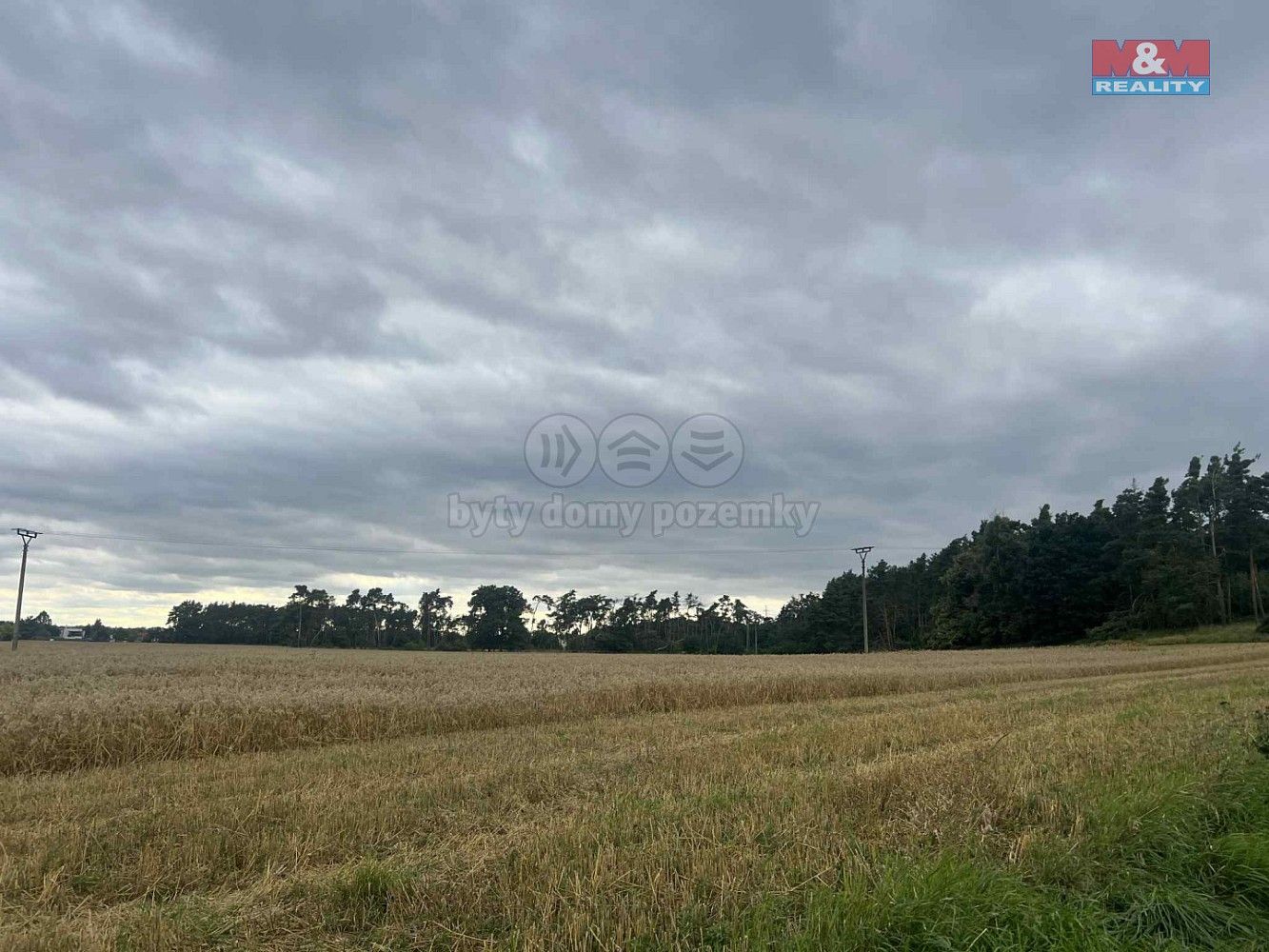 Lesy, Tři Dvory, okres Kolín, Středočeský kraj - 1