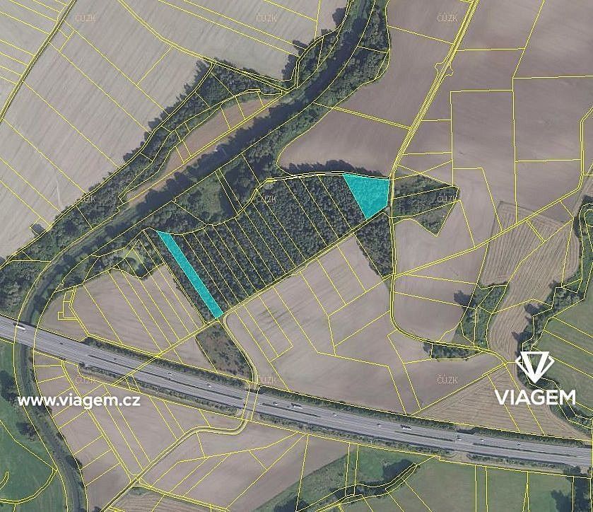 Prodej les - Olešnice, okres Hradec Králové, Královéhradecký kraj - 2