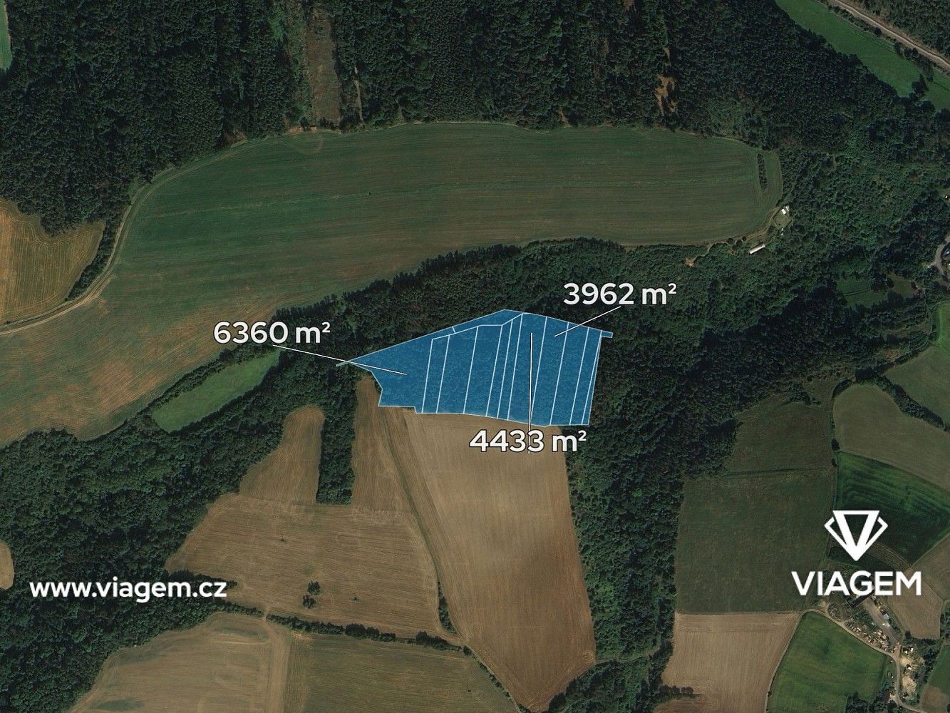 Lesy, Pavlíkov, okres Rakovník, Středočeský kraj - 2