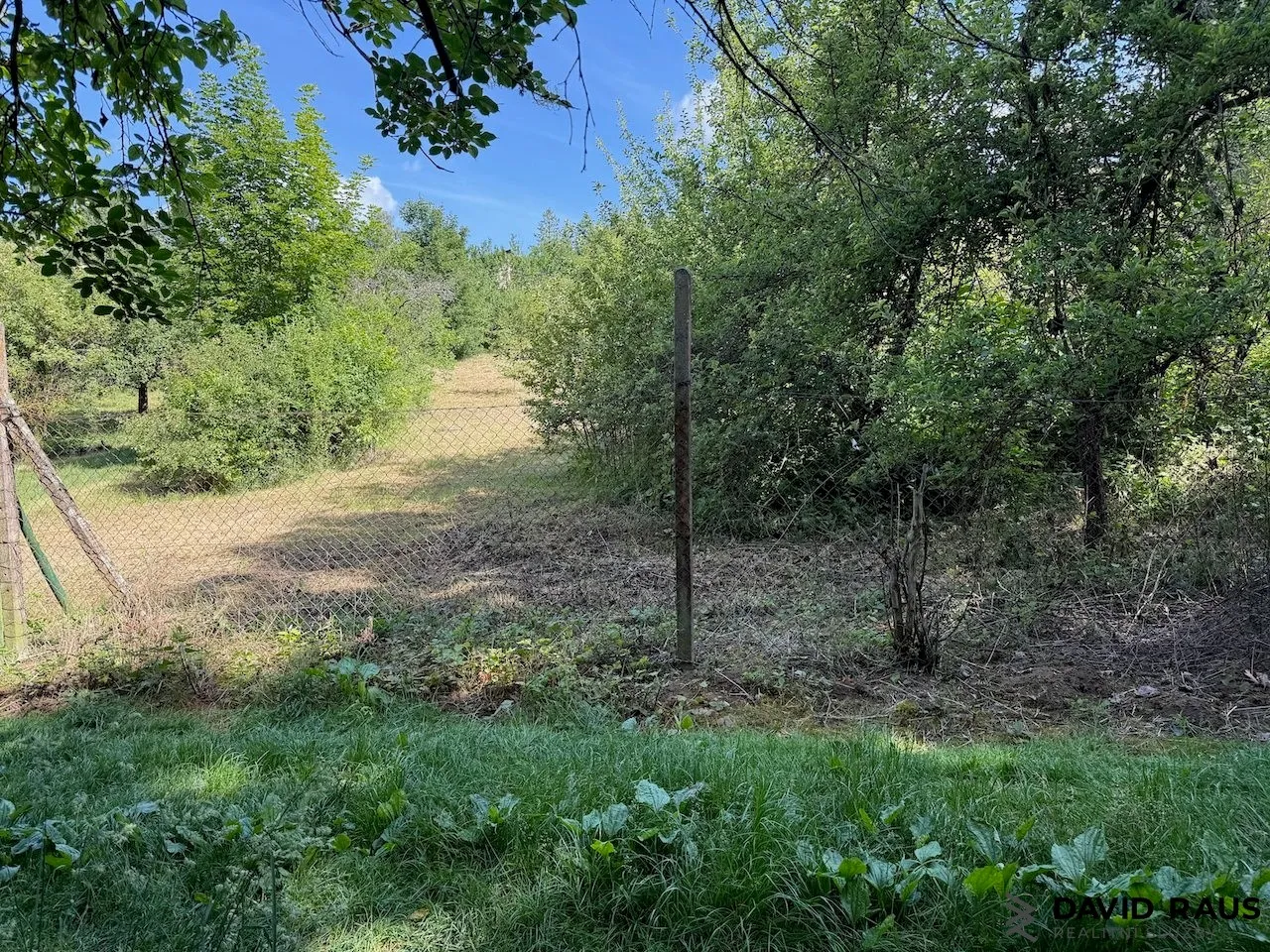Ostatní