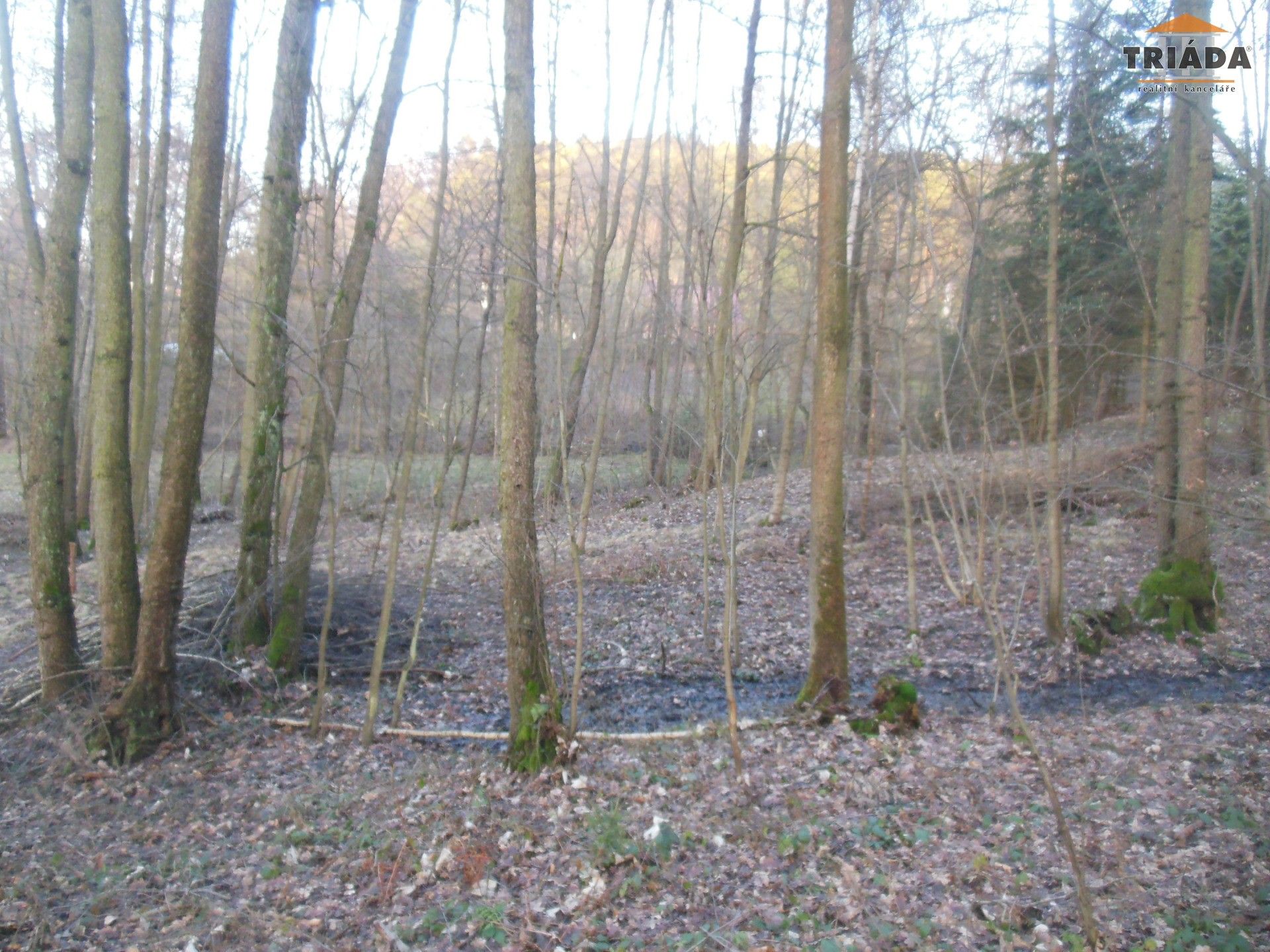 Les · 5 193 m² · Turnov - 4