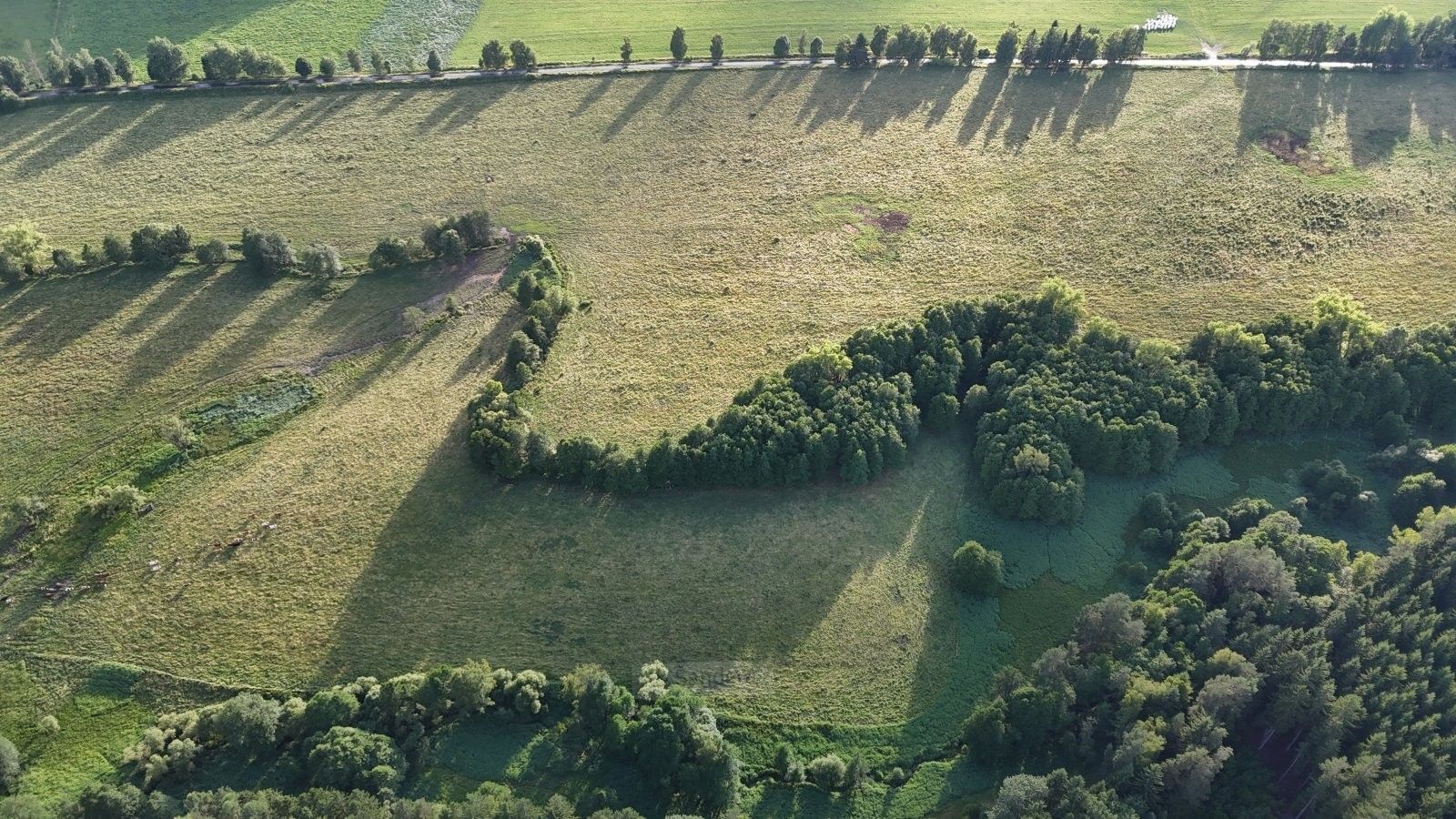 Louky, Rožmitál na Šumavě, 52 m²