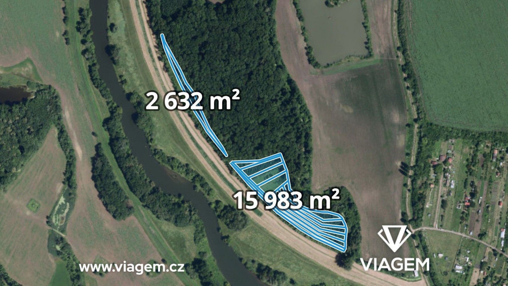 Les · Ladná, okres Břeclav, Jihomoravský kraj - 3