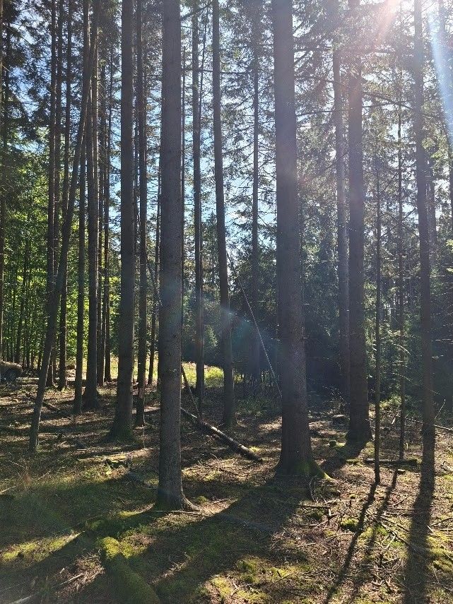 Pozemky pro bydlení, Těmice u Kamenice nad Lipou, 394 96 - 1