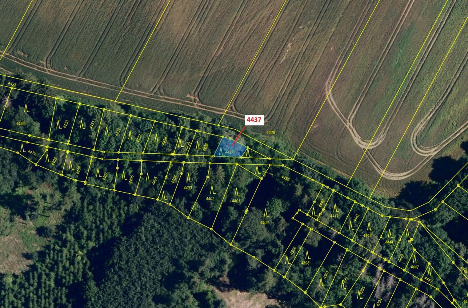 Prodej les - Lukovany - 2