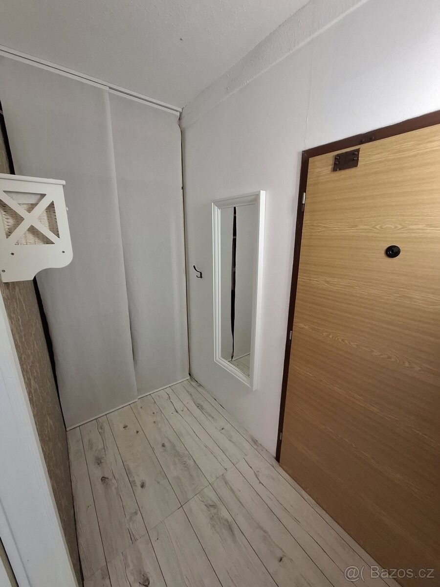 Byt · Veselí nad Lužnicí, 391 81 - 3