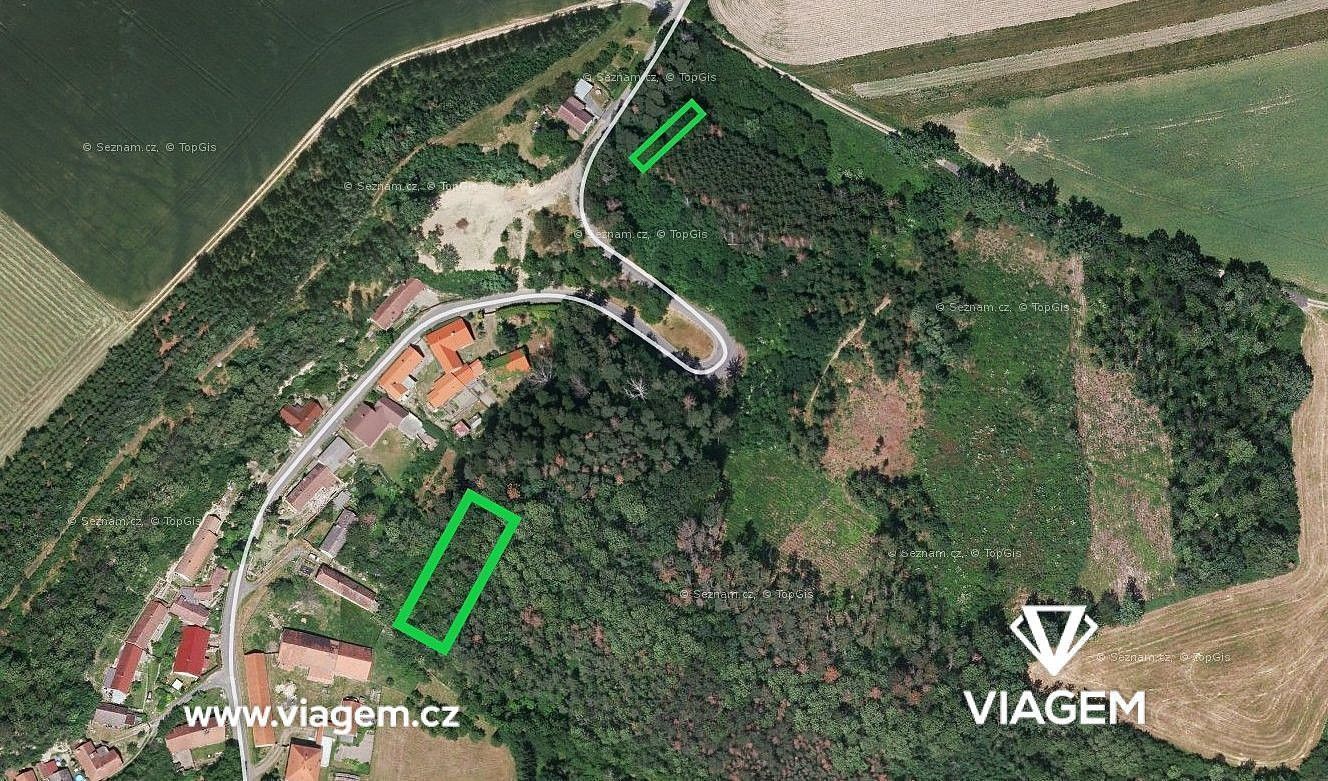 Les · Vinaře, okres Kutná Hora, Středočeský kraj - 1