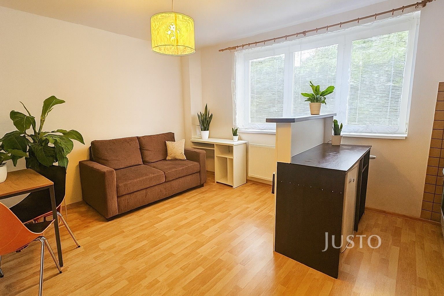 1+kk, Přemyslova, Písek, 28 m² - 1