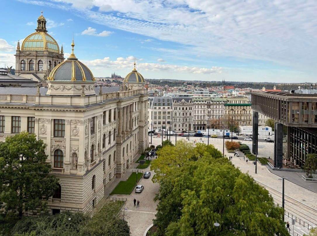 Kanceláře, Škrétova, Praha, 450 m² - 2