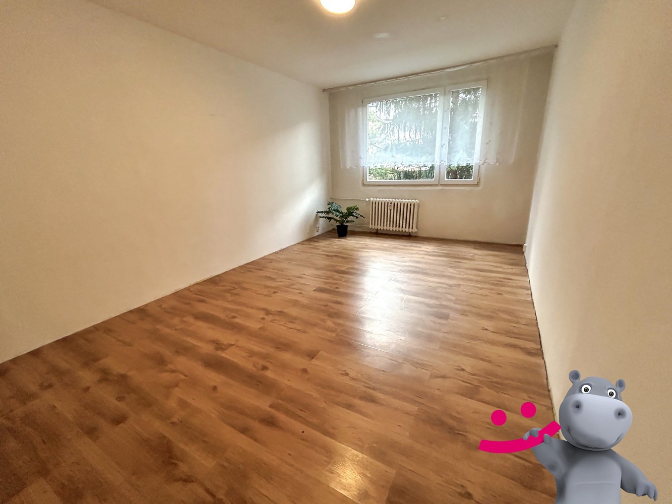 Prodej byt 3+1 - Husova, Ústí nad Labem - Krásné Březno, 79 m² - 5