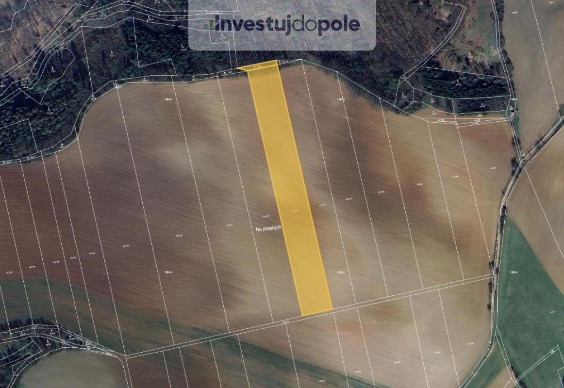 Prodej zemědělský pozemek - Letovice, 679 61, 10 240 m²