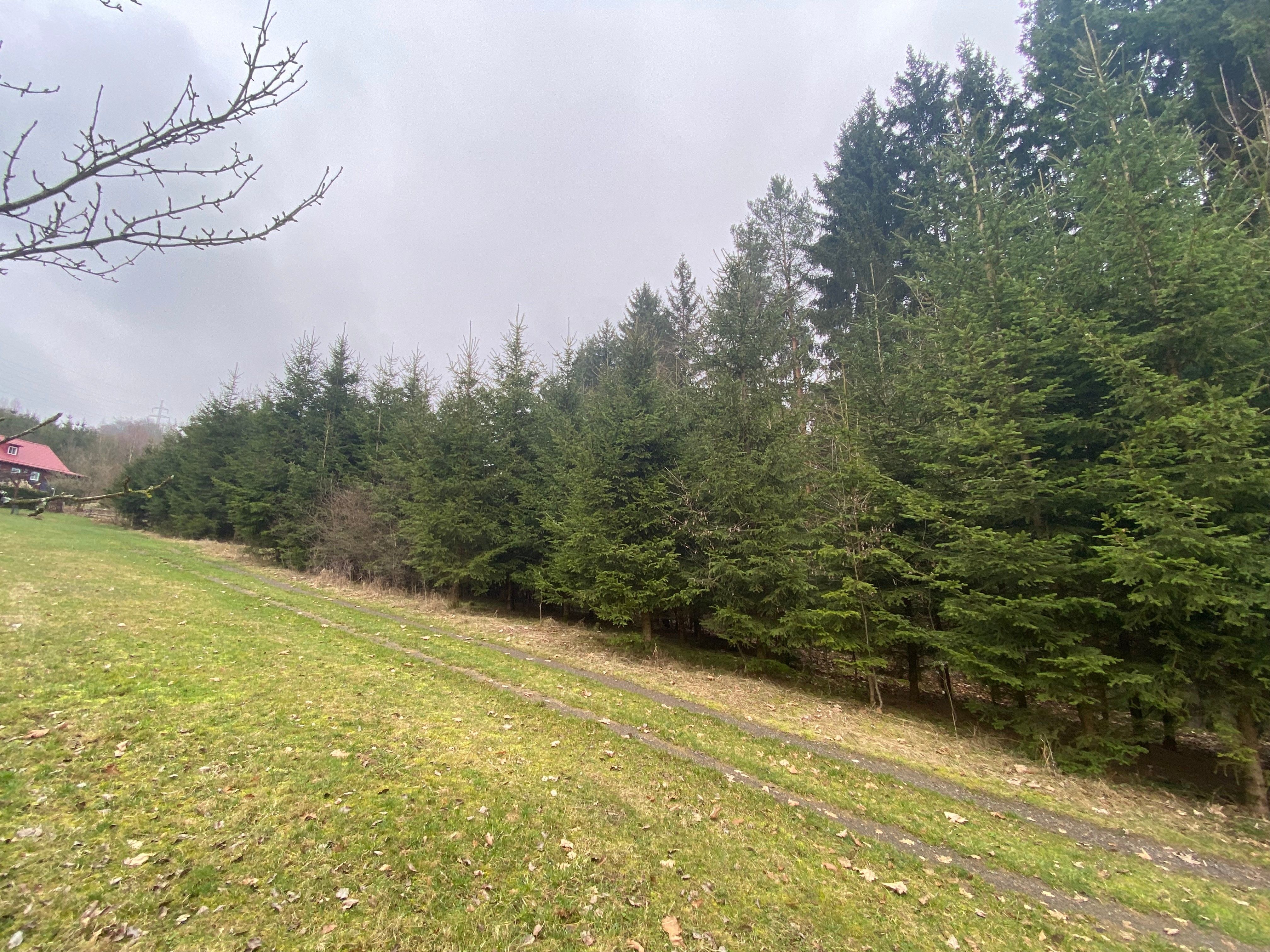 Lesy, Strážná, 21 567 m²
