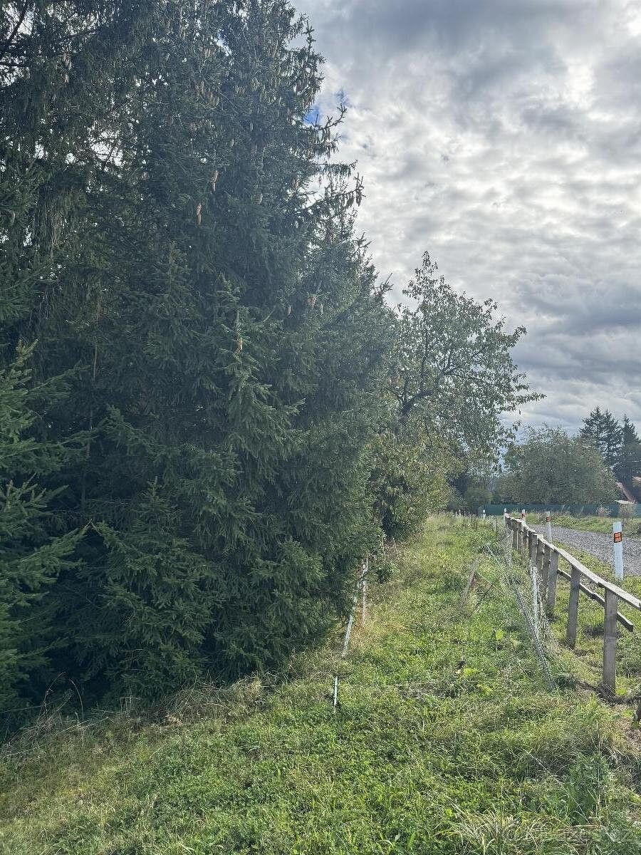 Pozemky pro bydlení, Úpice, 542 32