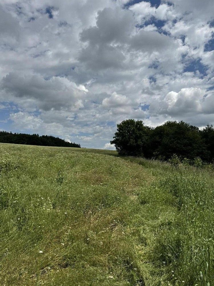 Zemědělský pozemek, 4 916 m²