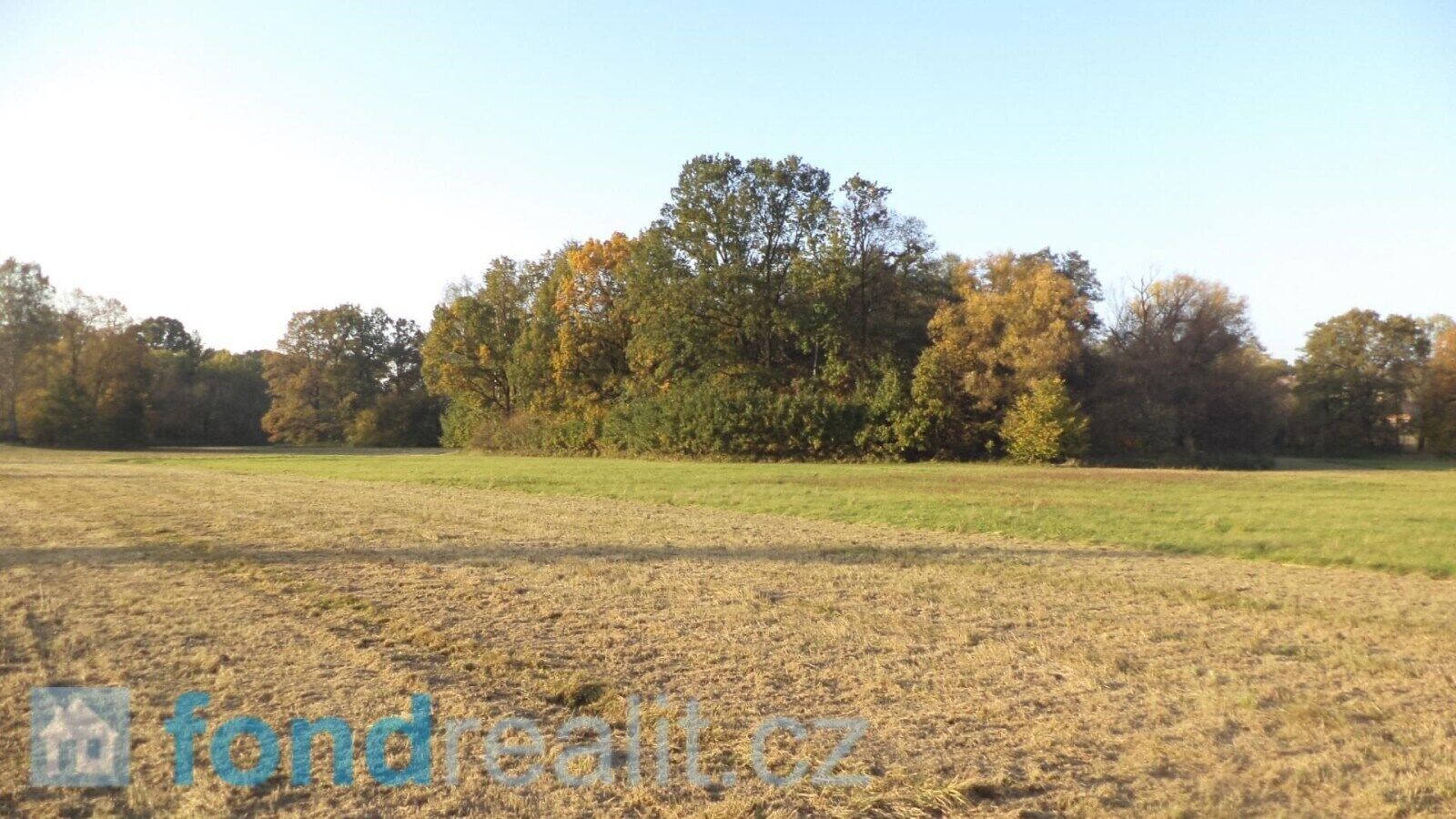 Ostatní, Petrovice u Karviné, 6 981 m²