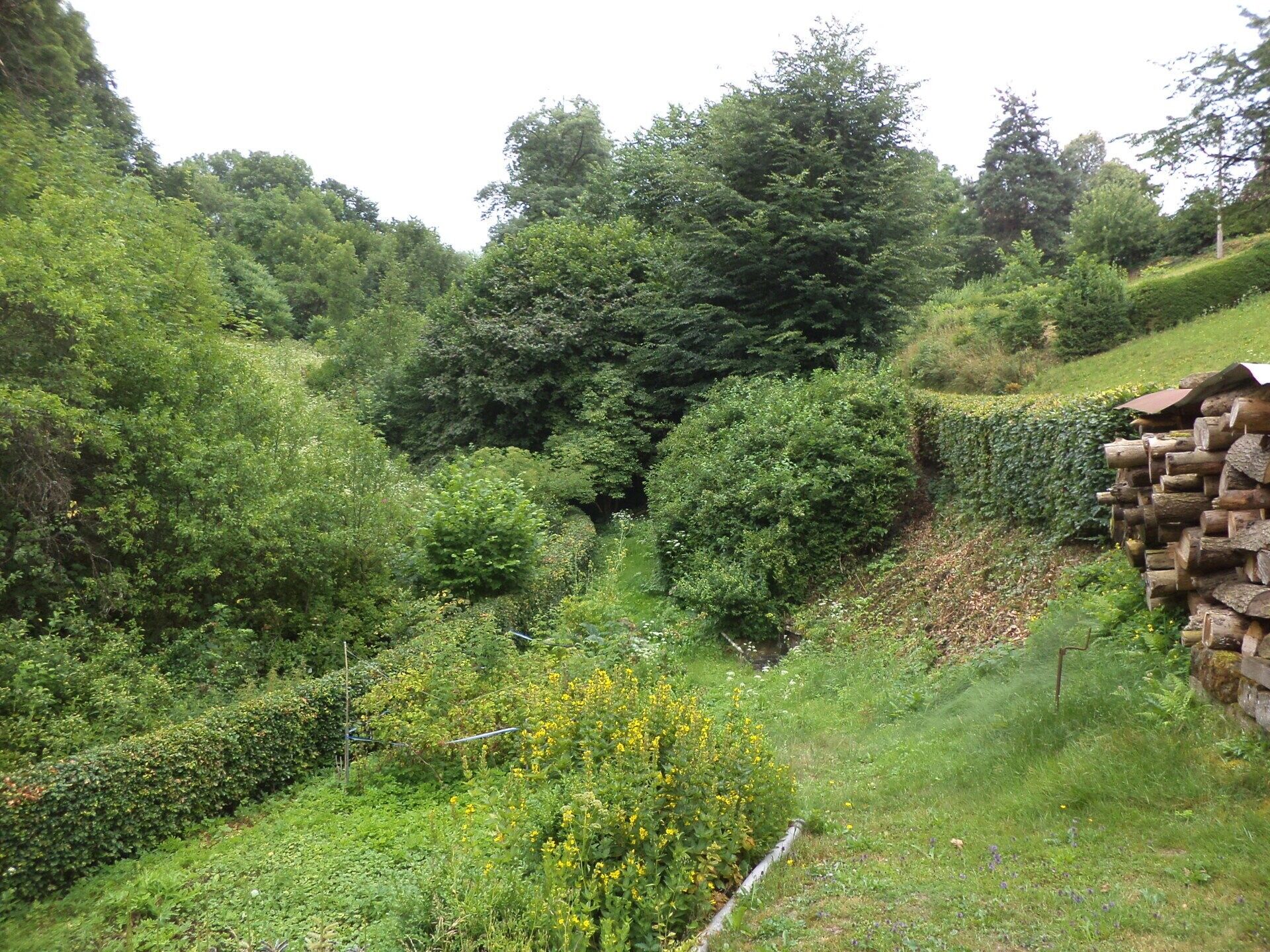 Pozemek · 720 m² · Liberk Prorubky - 3