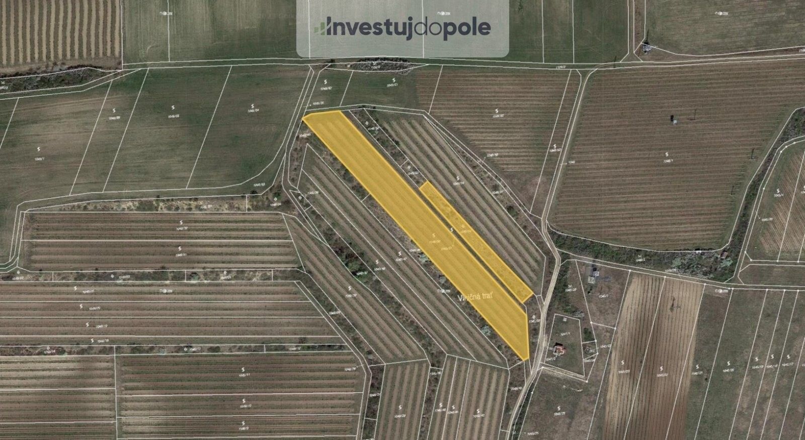 Prodej zemědělský pozemek - Sedlec