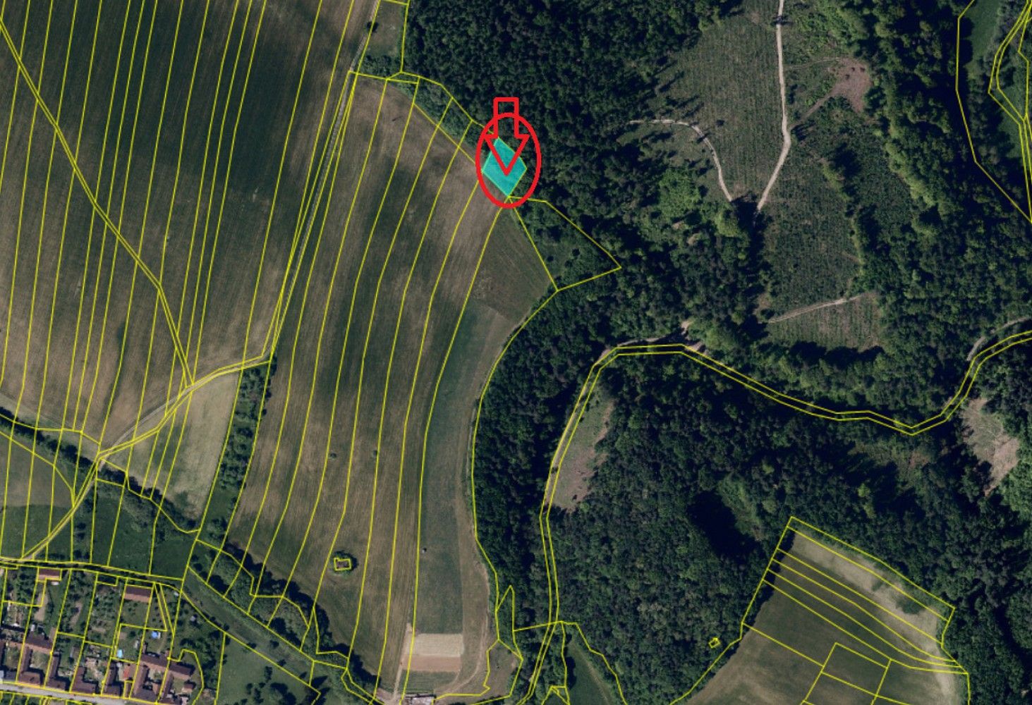 Prodej les - Ježkovice - Šluknov, okres Vyškov, Jihomoravský kraj - 5