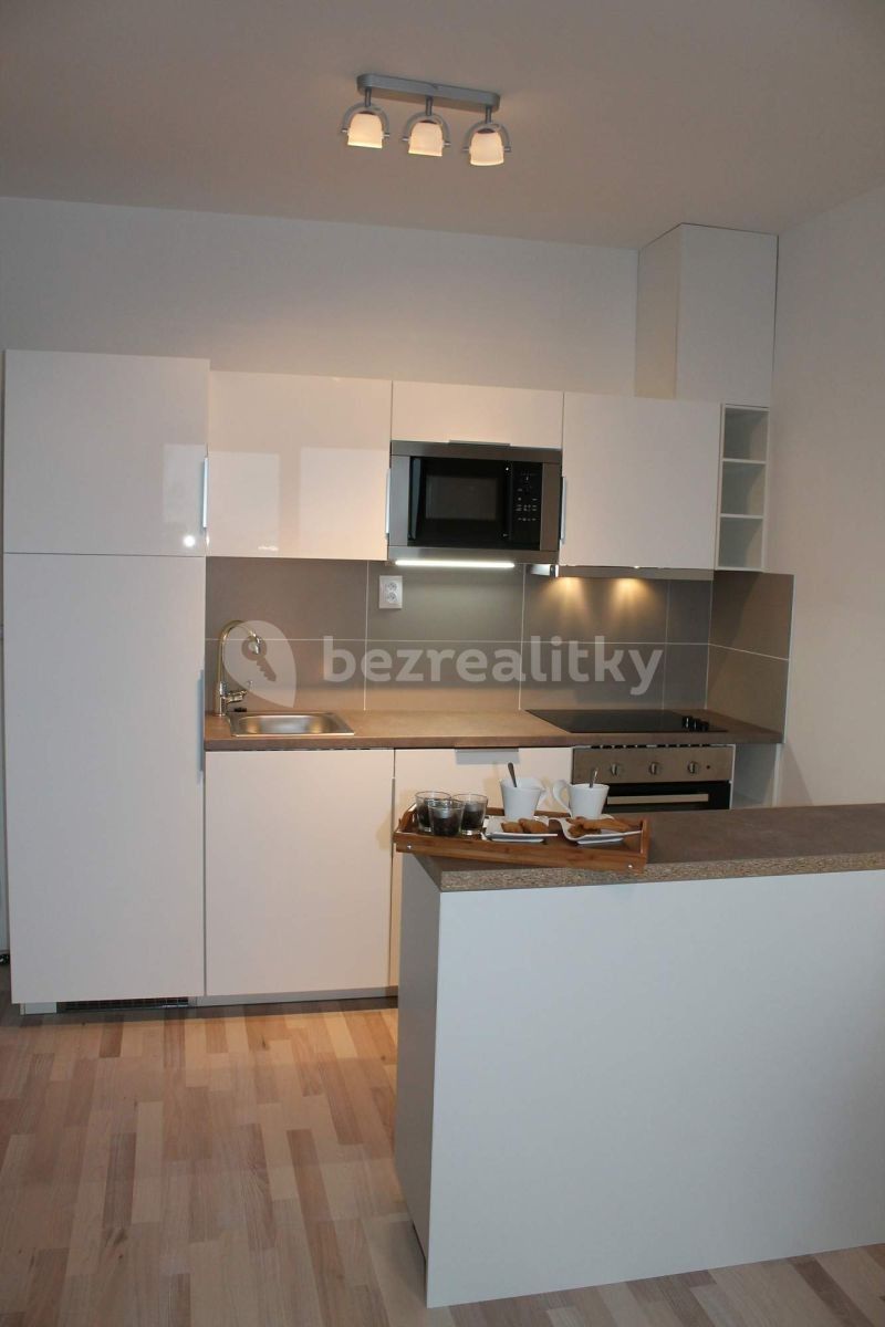 1+kk, Kigginsova, Brno - Slatina, Jihomoravský kraj, 47 m² - 2