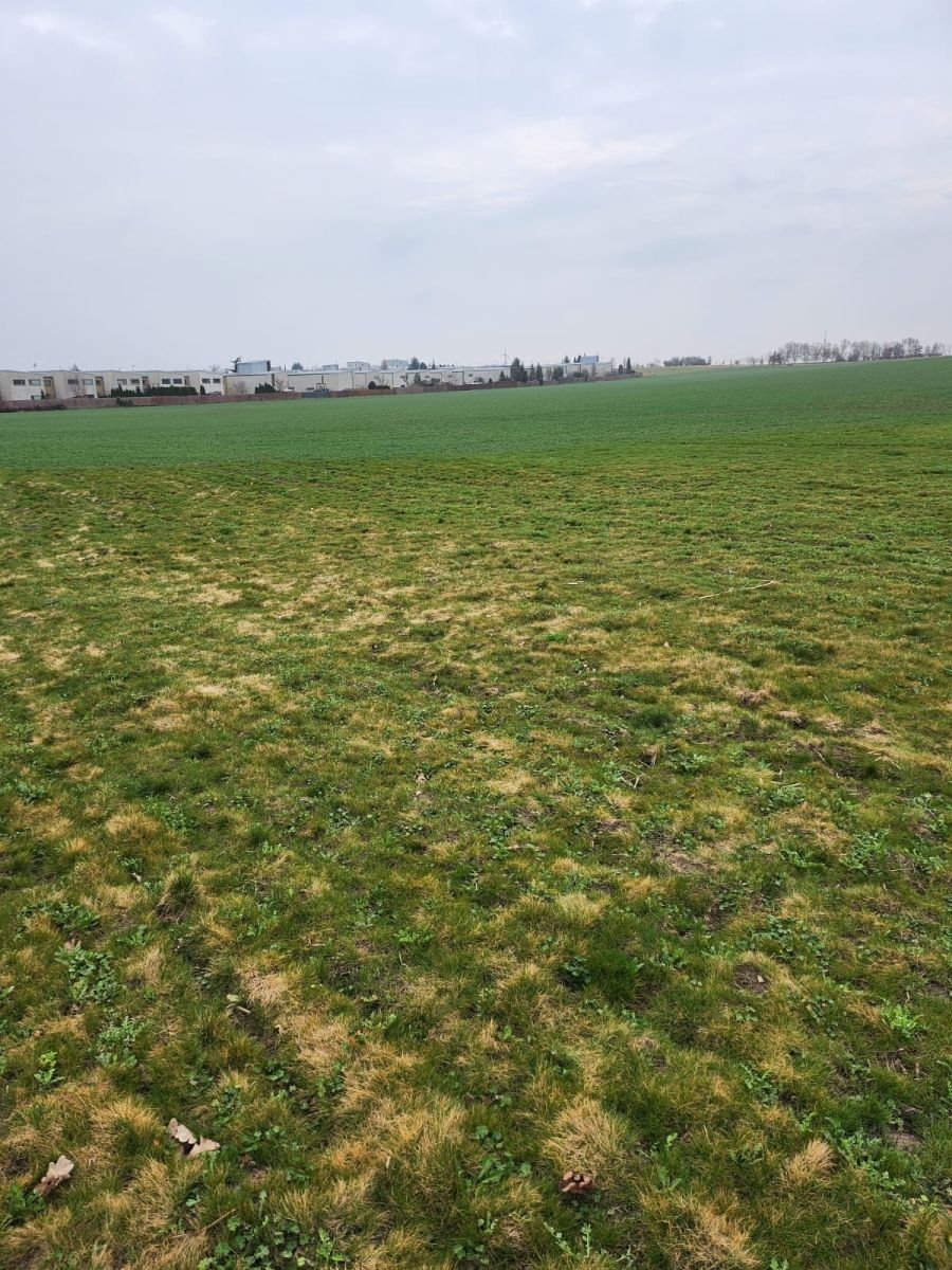 Zemědělský pozemek, 12 054 m²